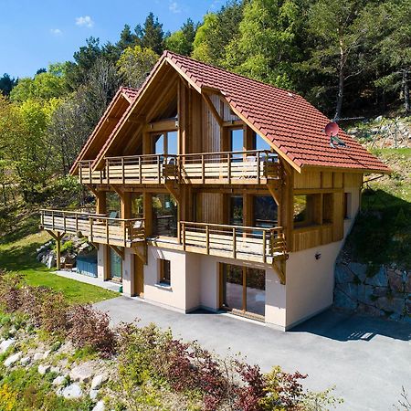 Les Chalets De La Marcairie Metzeral Dış mekan fotoğraf